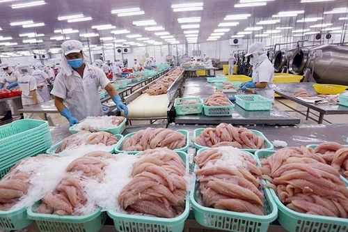 Ngành cá tra: Loay hoay 'tìm cửa' thị trường nội địa