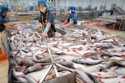 Giao thương trực tuyến doanh nghiệp Việt Nam – Trung Quốc