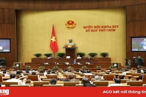 Đáp ứng yêu cầu xây dựng, quản lý, bảo vệ biên giới quốc gia trong tình hình mới