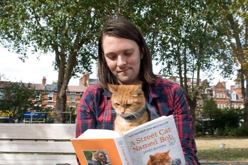 Bob - chú mèo đường phố nổi tiếng từng lên sách và phim đã qua đời