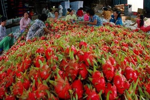 Trung Quốc có thể siết chặt nhập khẩu hàng hóa, ùn tắc biên giới có thể quay trở lại