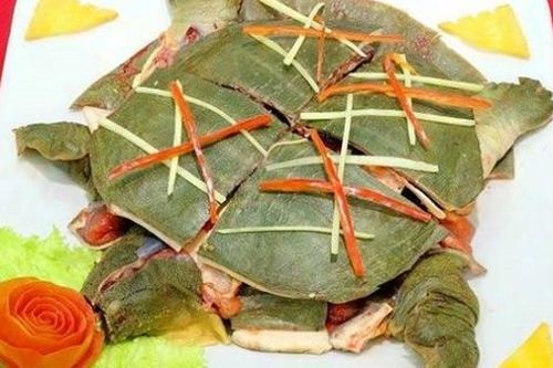 Ra Hà Nội chơi, người đàn ông TP.HCM suýt mất mạng vì ăn thịt ba ba