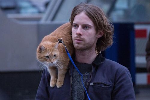 Chú mèo truyền cảm hứng cho 'A Street Cat Named Bob' qua đời