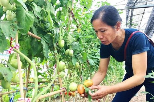 Gỡ rào cản sử dụng đất bãi sông