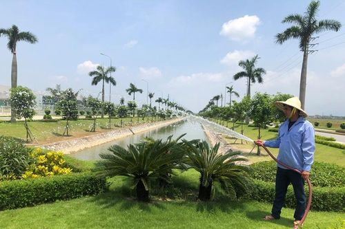 Xây dựng môi trường xanh trong các khu công nghiệp tỉnh Vĩnh Phúc