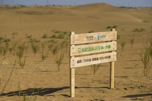 Sa mạc hóa - thách thức môi trường nghiêm trọng toàn cầu