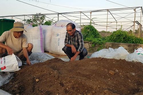 Đưa phân bón côn trùng vào nông nghiệp hữu cơ