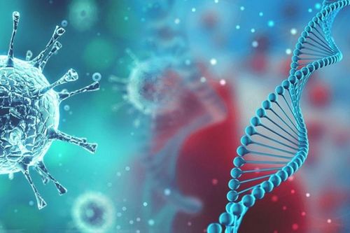 Cập nhật 19h ngày 17/6: Hơn cả Vũ Hán, chủng virus ở Bắc Kinh lan nhanh 'ngoài sức tưởng tượng', EU muốn nới lỏng thử nghiệm thuốc điều trị covid-19