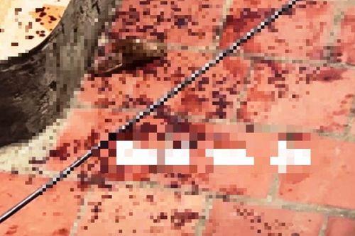 Thanh Hóa: Bị cấm đón vợ về nhà, con rể đâm bố vợ nhập viện