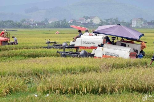 Thay đổi tư duy sản xuất nông nghiệp ở Nghệ An