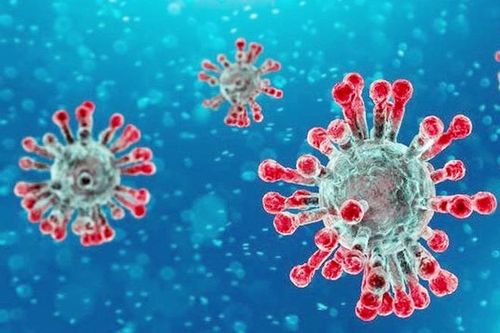 Ít người tử vong hơn, virus SARS-CoV-2 đang 'đuối sức'?