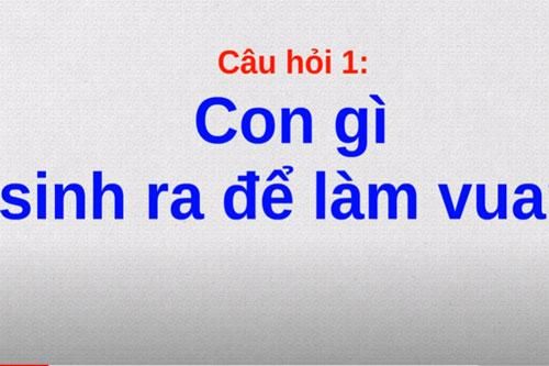 CLIP: 9 câu đố mẹo chỉ những người thông minh mới trả lời đúng