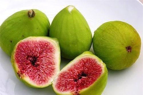 Quả sung: Những tác dụng tuyệt vời đối với sức khỏe và làm đẹp