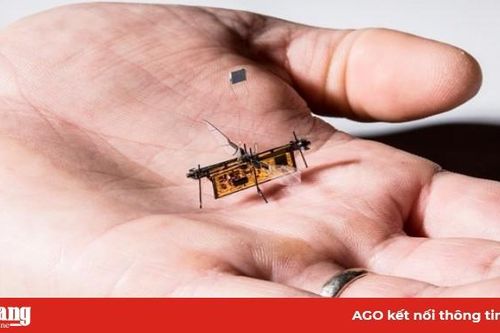 Kinh ngạc trước robot mini có thể thực hiện nhiệm vụ phức tạp