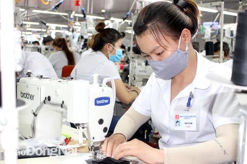 Tìm kiếm cơ hội từ các thị trường tiềm năng