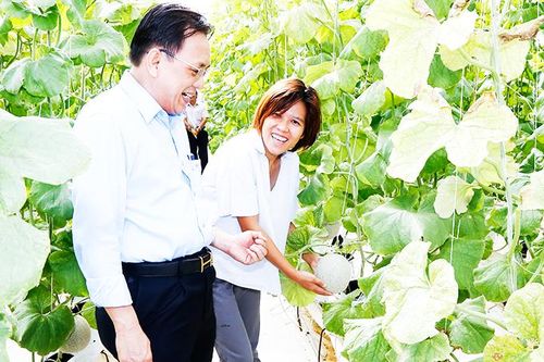 Khảo sát các sản phẩm OCOP tại Khánh Vĩnh và Cam Ranh