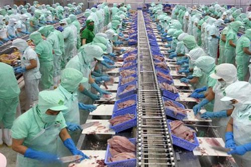 6 tháng đầu năm 2020, tổng sản lượng thủy sản đạt gần 3,83 triệu tấn