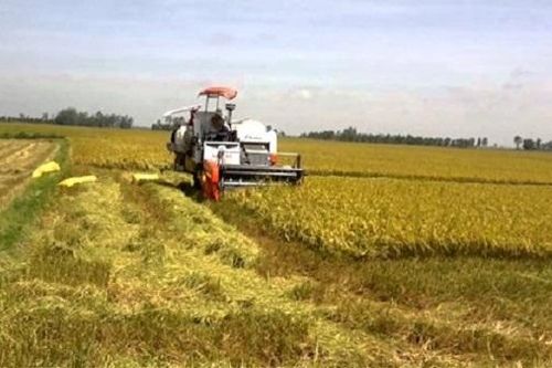 Xử lý đốt rơm rạ ngoại thành Hà Nội: Hiệu quả từ đẩy mạnh cơ giới hóa