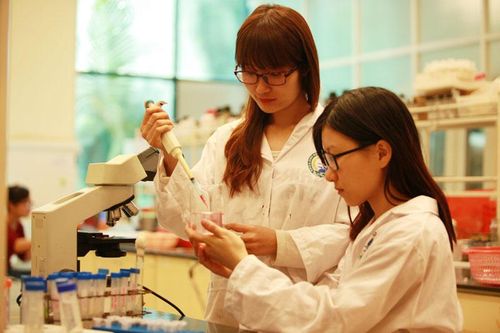 Đầu ra đại học 'made in Việt Nam': Tìm hướng ra biển lớn