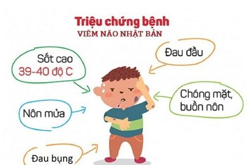 Thêm nhiều biện pháp phòng bệnh viêm não Nhật Bản