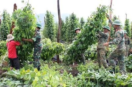 Việc nào cũng thi đua làm tốt