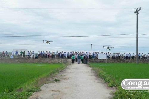 Ứng dụng thiết bị bay không người lái vào sản xuất nông nghiệp