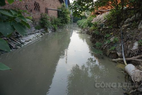 Nguyên nhân nào dẫn tới tình trạng ô nhiễm sông Ngũ Huyện Khê nghiêm trọng như hiện nay?