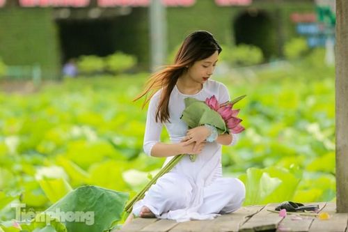 Hốt 'bạc triệu' mỗi ngày trong mùa sen Hồ Tây