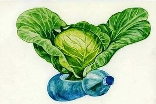 Ba tác phẩm đạt giải cuộc thi thiết kế 'Bảo vệ hệ sinh thái - Bảo vệ khí hậu'