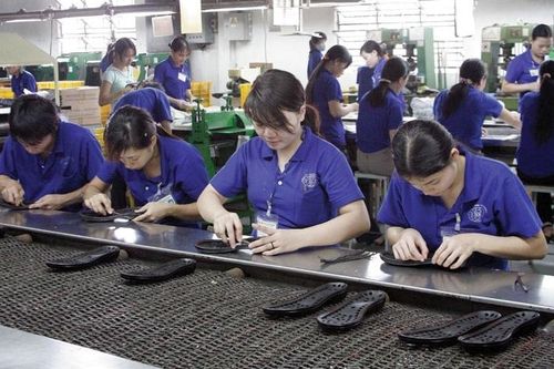 Luật cần 'sống' với thời gian
