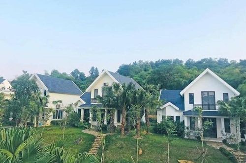 Một tuần tăng giá gấp 3, tranh nhau mảnh đất ven đô đầy cỏ dại