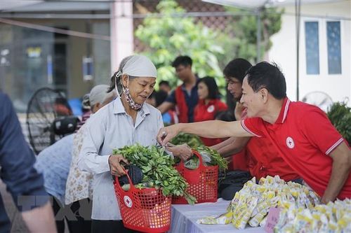 Trên 434 tỷ đồng hỗ trợ hơn 562.000 lượt người trong Tháng Nhân đạo