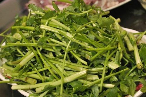Những người tuyệt đối không nên ăn rau cần kẻo rước bệnh vào người