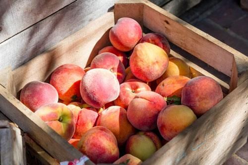 10 công dụng 'thần thánh' của quả đào nhưng không phải ai cũng biết