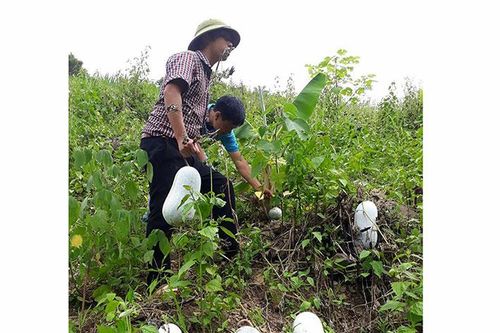 OCOP ở Ðiện Biên Ðông