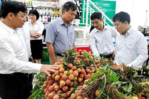 Cơ hội, thách thức của doanh nghiệp khi tiếp cận Hiệp định EVFTA