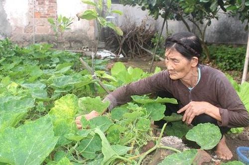 Trầm trồ với cụ bà gần 80 tuổi ở Hải Dương 'chưa một lần nằm viện' xin thoát nghèo
