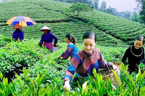Năm 2025, giảm 50% số xã, thôn, bản đặc biệt khó khăn