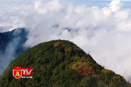 Phòng chống cháy rừng mùa nắng nóng