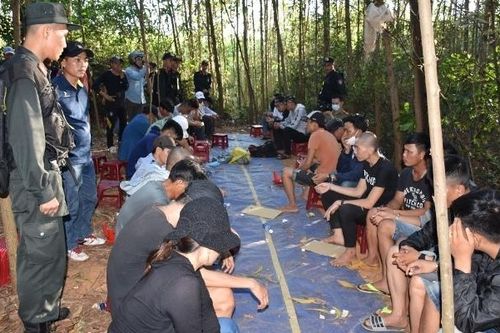 Bắt gần 30 đối tượng 'sát phạt' giữa rừng keo