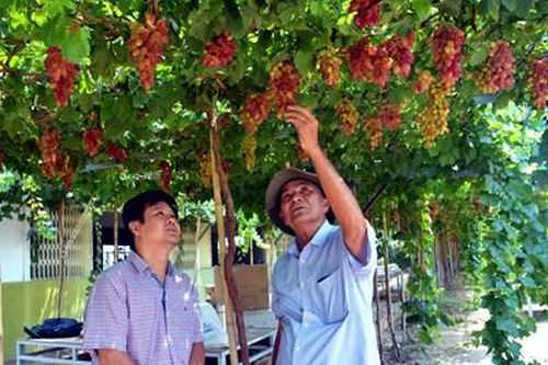 Bài 3: Phát triển du lịch và năng lượng sạch