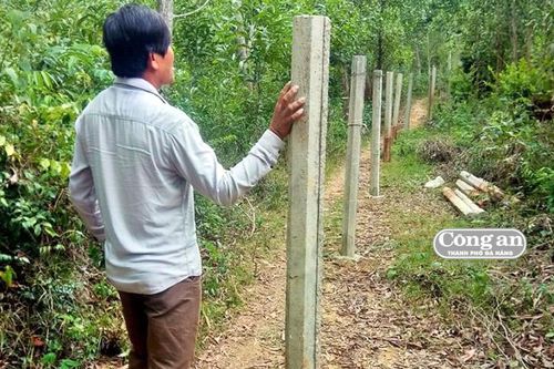 Dân bức xúc vì bị 'triệt' đường vận chuyển gỗ keo