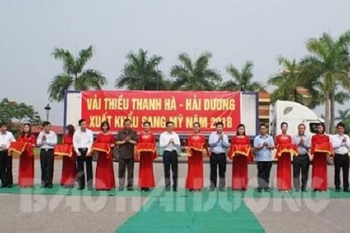Chưa năm nào quả vải Hải Dương được giá như năm nay