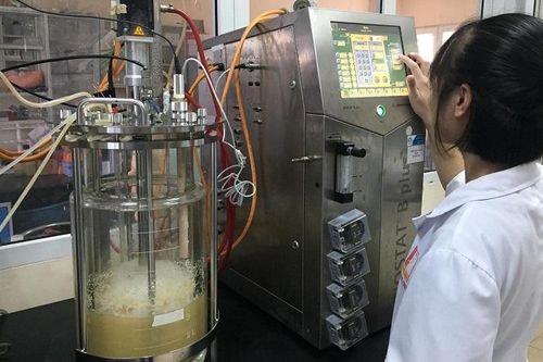Sản xuất thực phẩm chức năng từ nấm Vân chi: Sẽ cạnh tranh với sản phẩm nhập ngoại