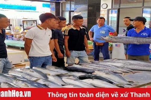 Hải sản Sầm Sơn 'hút khách' mùa du lịch