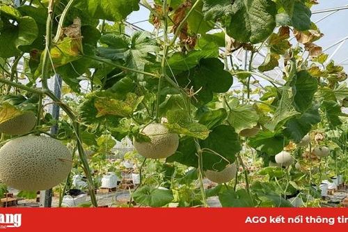 Tăng nguồn lực cho nông nghiệp