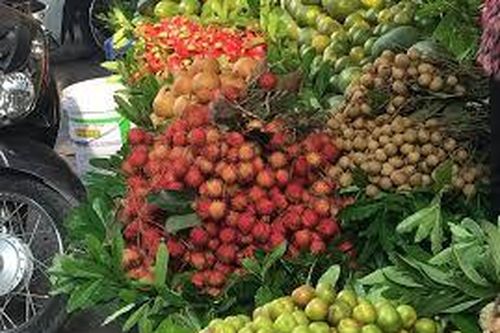 Chôm chôm đồng loạt rớt giá
