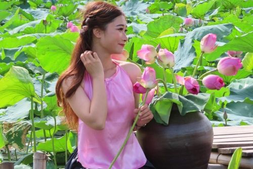 Sen hồ Tây khoe hương sắc vào hè