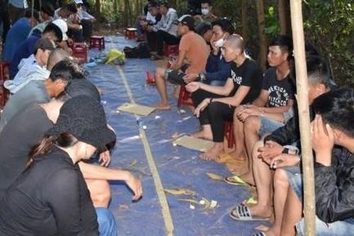 Phá sòng bạc quy mô lớn trong rừng keo