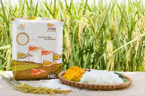 Gạo nếp ngon A Sào - nấu gì cũng ngon 'bất bại'